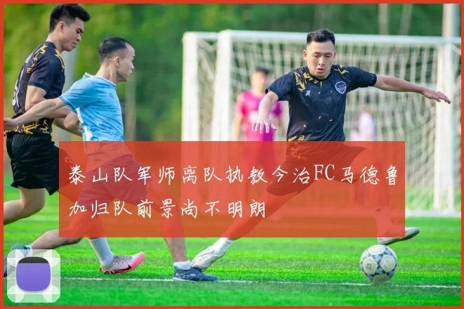 泰山队军师离队执教今治FC马德鲁加归队前景尚不明朗