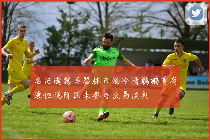 名记透露马瑟林市场冷清鹈鹕曾有意但现阶段未参与交易谈判